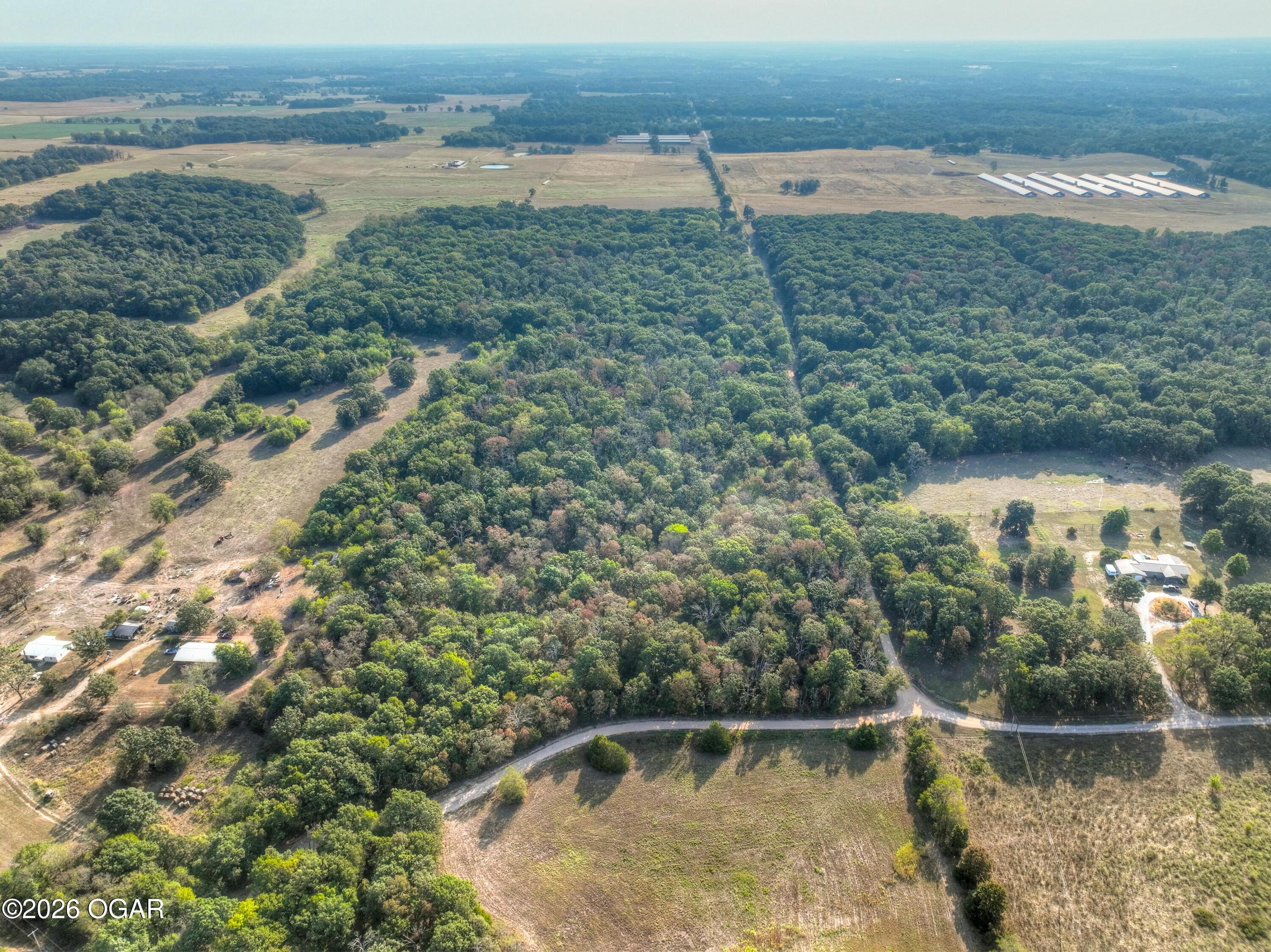 Tbd Foliage Road Pierce City, MO 65723 - Photo 5 of 7 Gallery Image 5