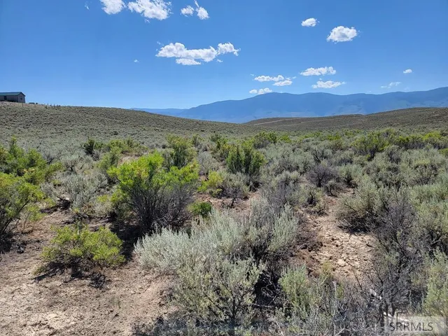 $51,500 | Lot 2 Gold Valley Drive, Unit LOT 2, Salmon, ID 83467