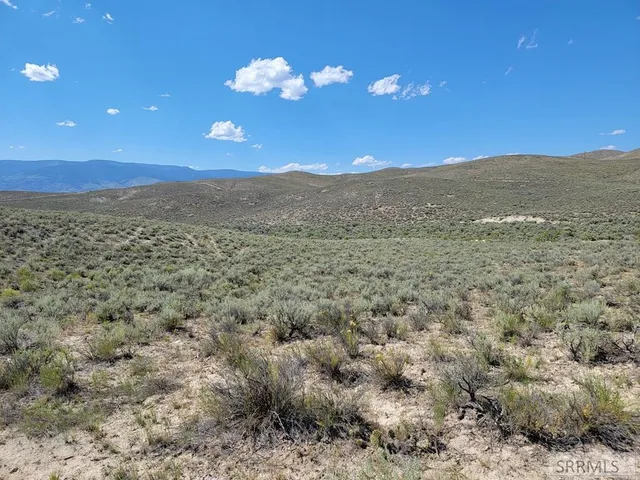 $51,500 | Lot 2 Gold Valley Drive, Unit LOT 2, Salmon, ID 83467