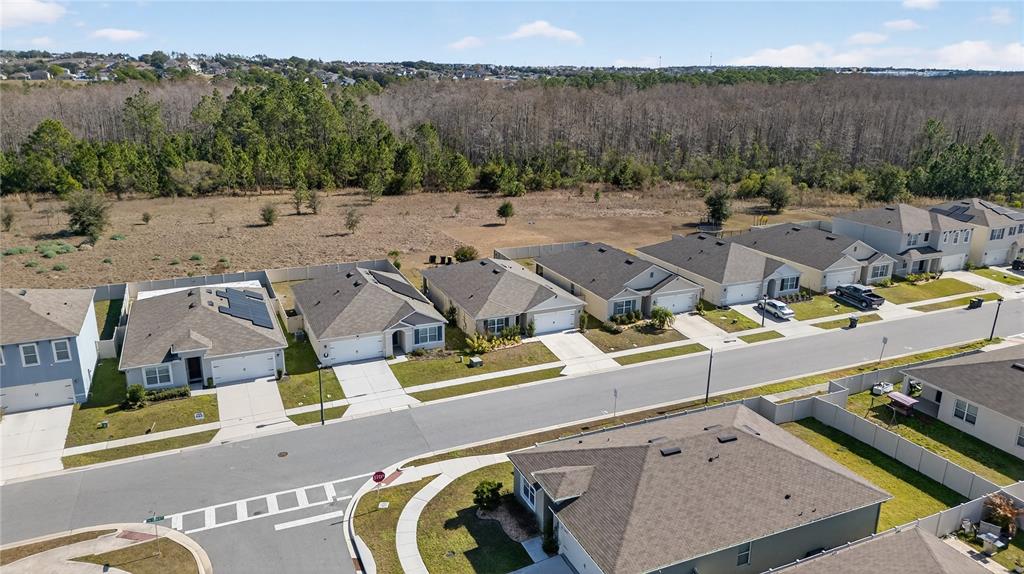 1323 Fox Squirrel Drive Davenport, FL 33897 - Photo 57 of 78