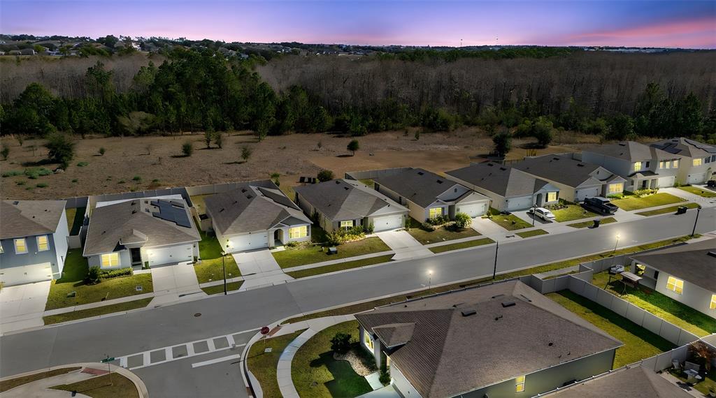 1323 Fox Squirrel Drive Davenport, FL 33897 - Photo 58 of 78