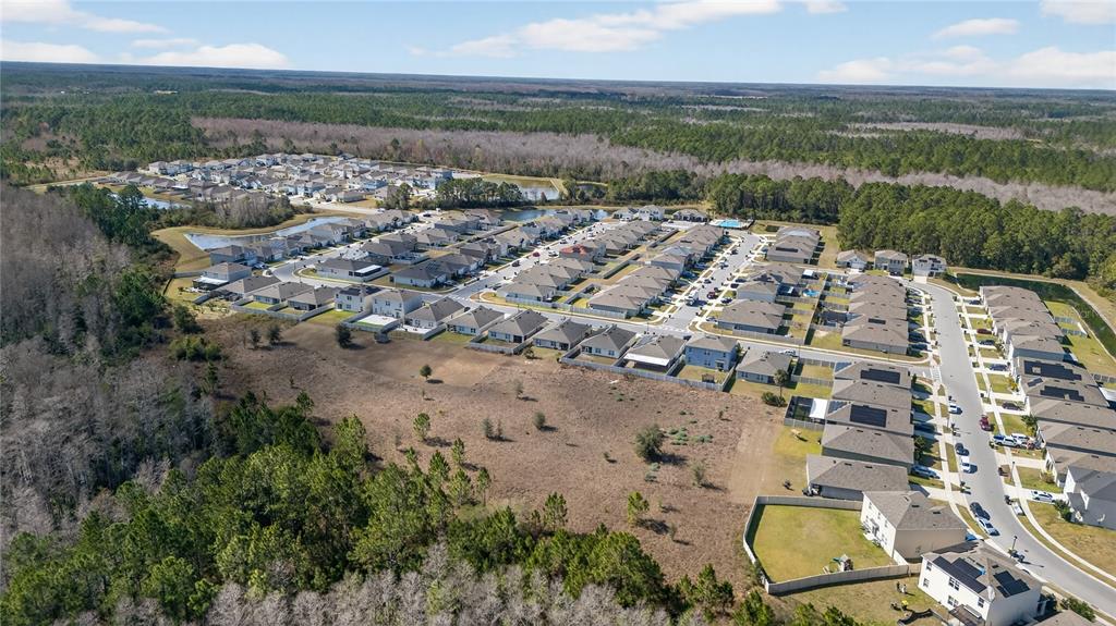 1323 Fox Squirrel Drive Davenport, FL 33897 - Photo 69 of 78