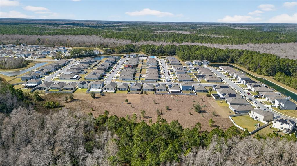 1323 Fox Squirrel Drive Davenport, FL 33897 - Photo 70 of 78