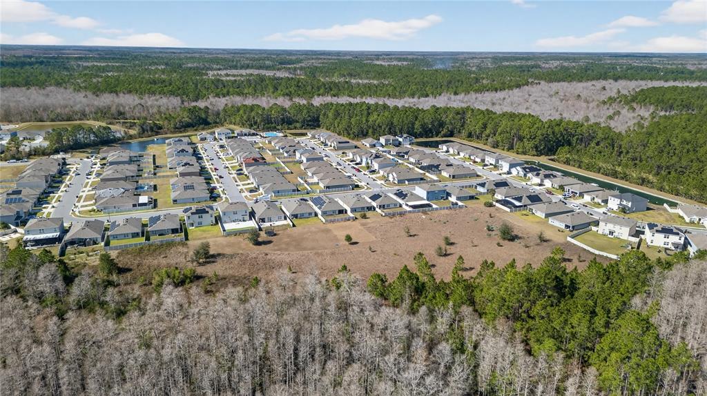 1323 Fox Squirrel Drive Davenport, FL 33897 - Photo 71 of 78