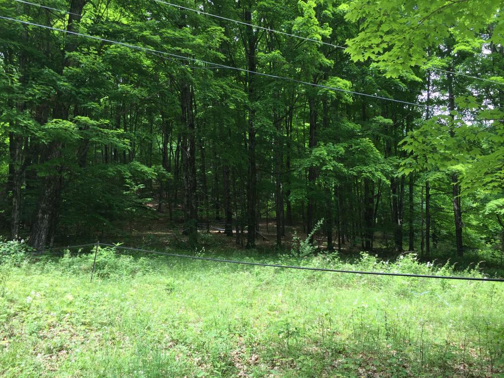 0 Spaulding Road Putney, VT 05346 - Photo 3 of 13