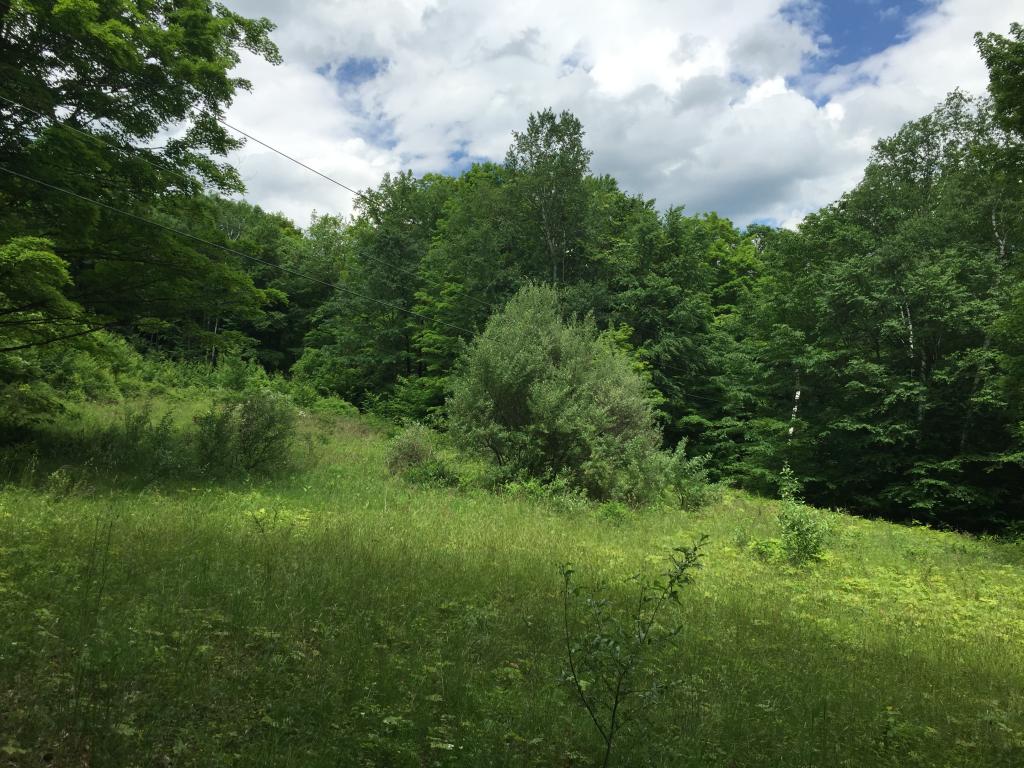 0 Spaulding Road Putney, VT 05346 - Photo 5 of 13