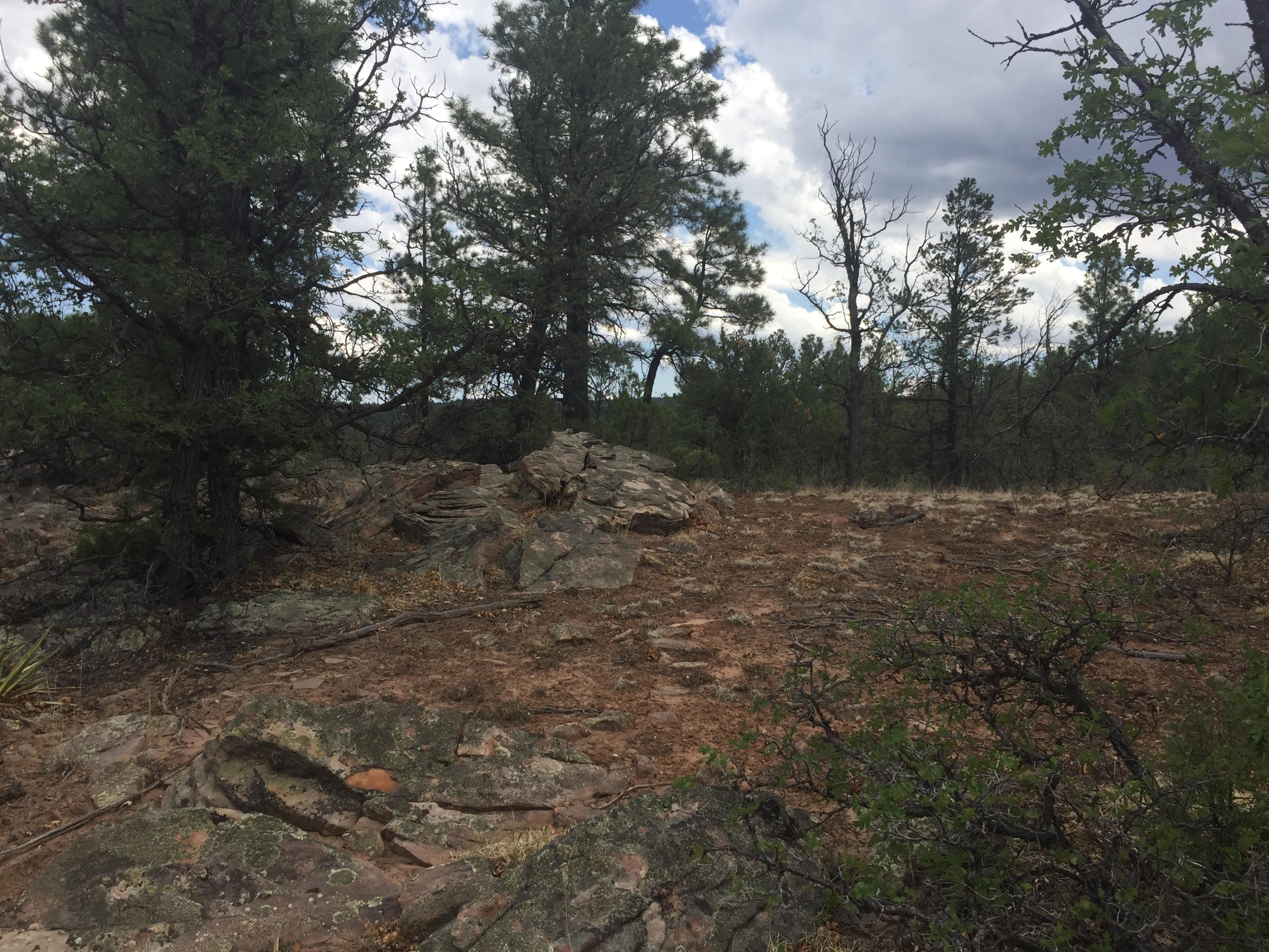 20-23 Lots Road Ramah, NM 87321 - Photo 20 of 45 Gallery Image 20