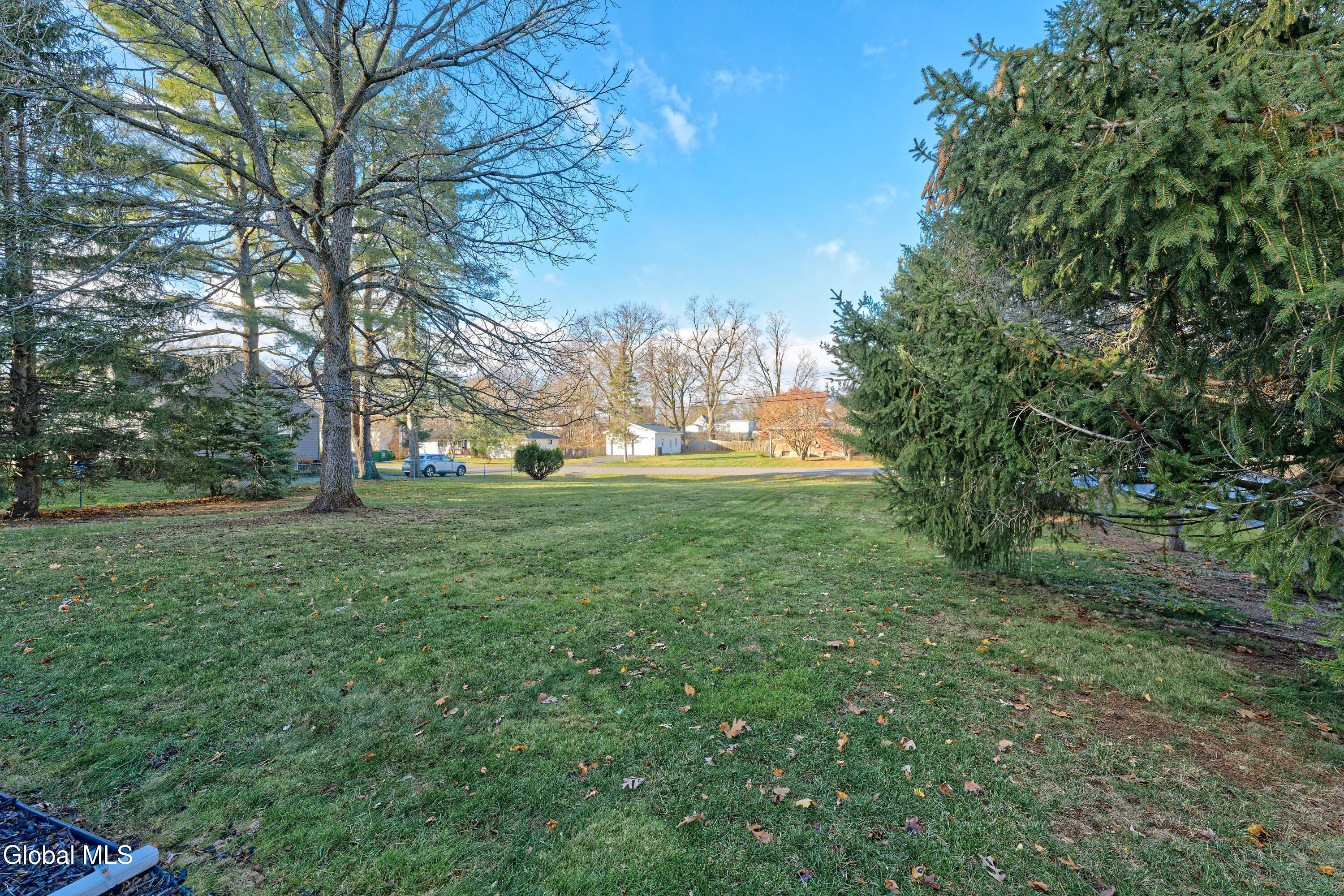 61 Latham Ridge Road Colonie, NY 12110 - Photo 36 of 53 Yard 1