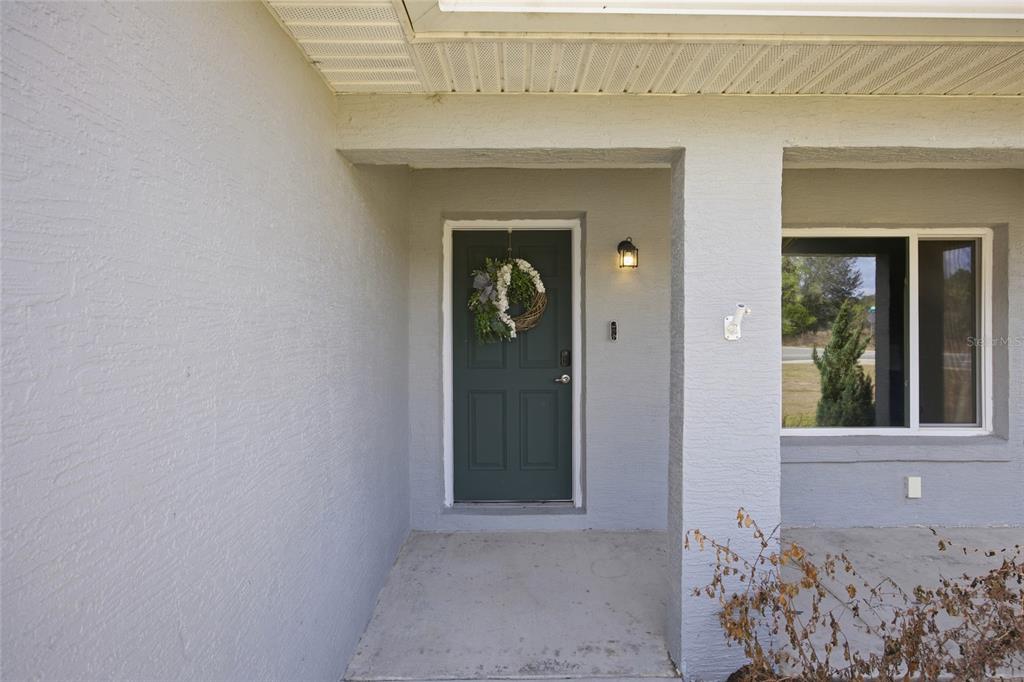 224 Fisher Road Ocklawaha, FL 32179 - Photo 4 of 34