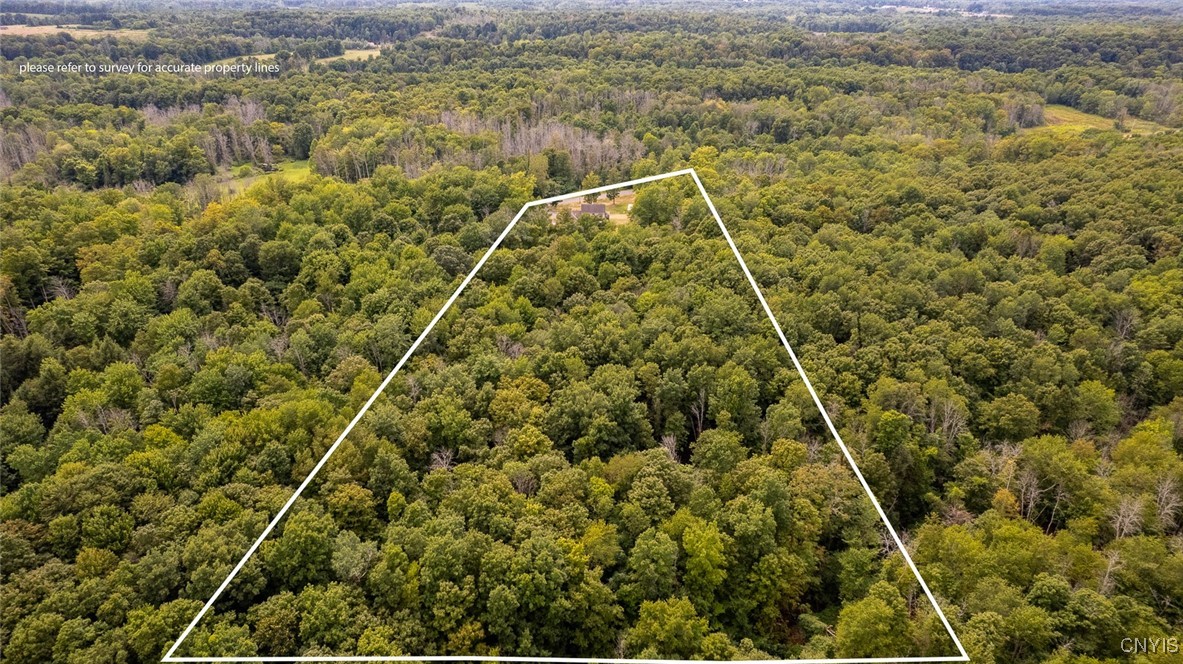 132 Black Creek Road Scriba, NY 13126 - Photo 2 of 48