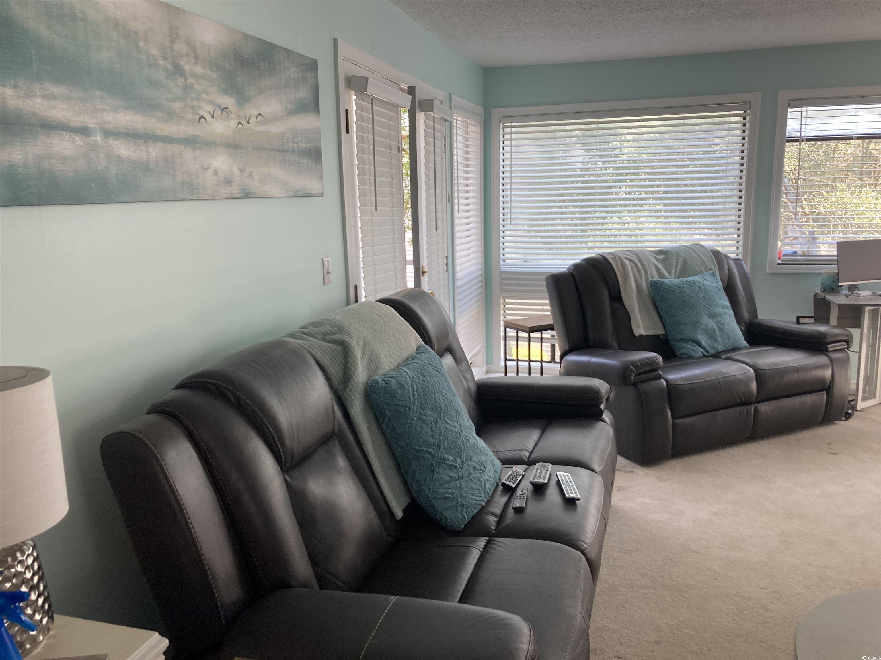 351 Lake Arrowhead Road, Unit 10238 Myrtle Beach, SC 29572 - Photo 9 of 28 Gallery Image 9