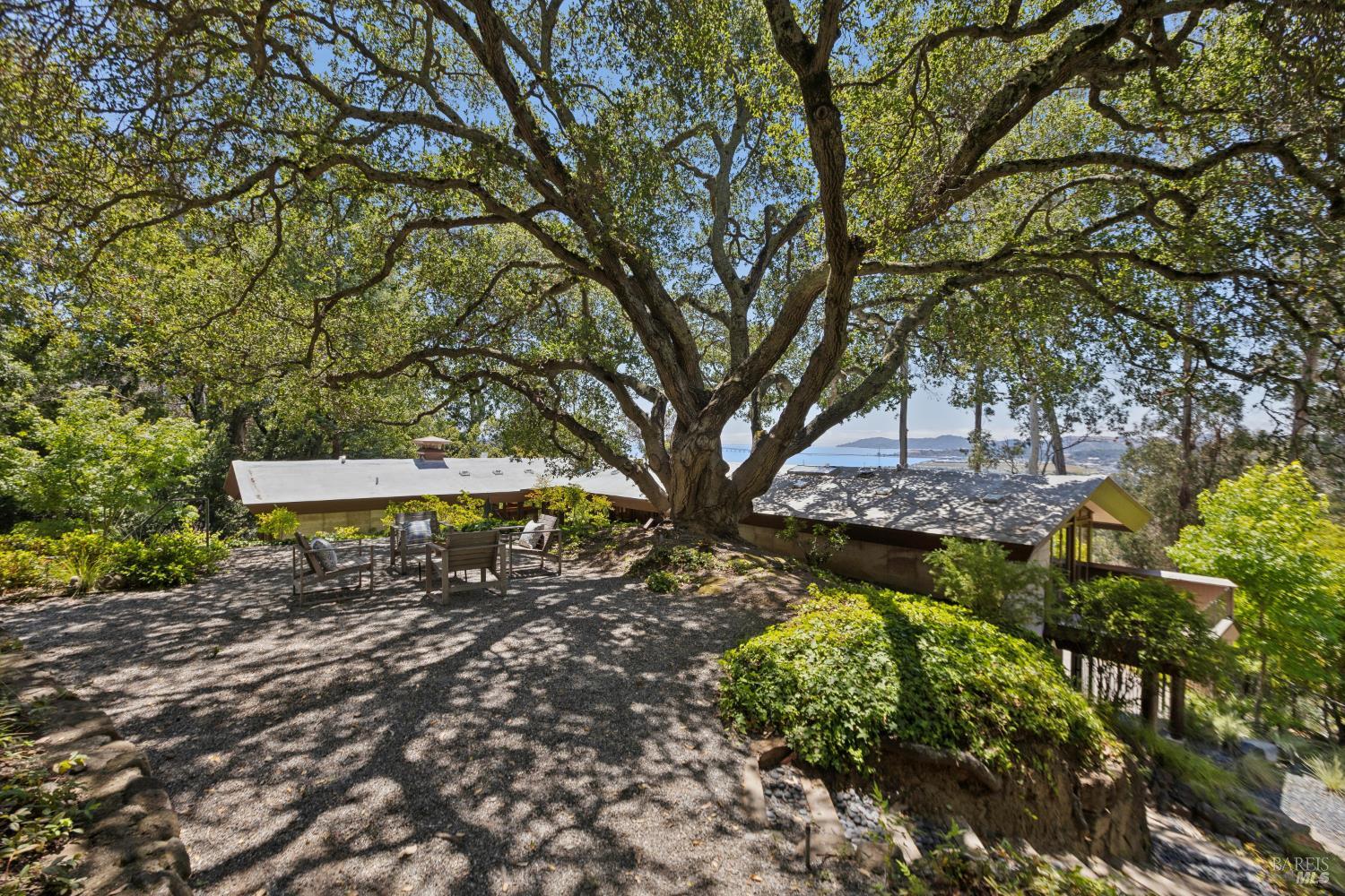 335 Highland Avenue San Rafael, CA 94901 - Photo 81 of 98