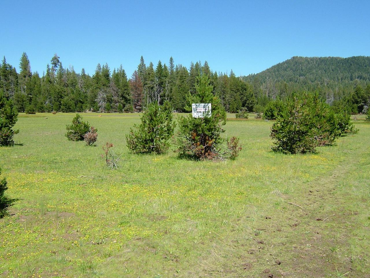 Off Ash Pan Flat Road Red Bluff, CA 96080 - Photo 3 of 4 a view of a lake with a mountain in the background