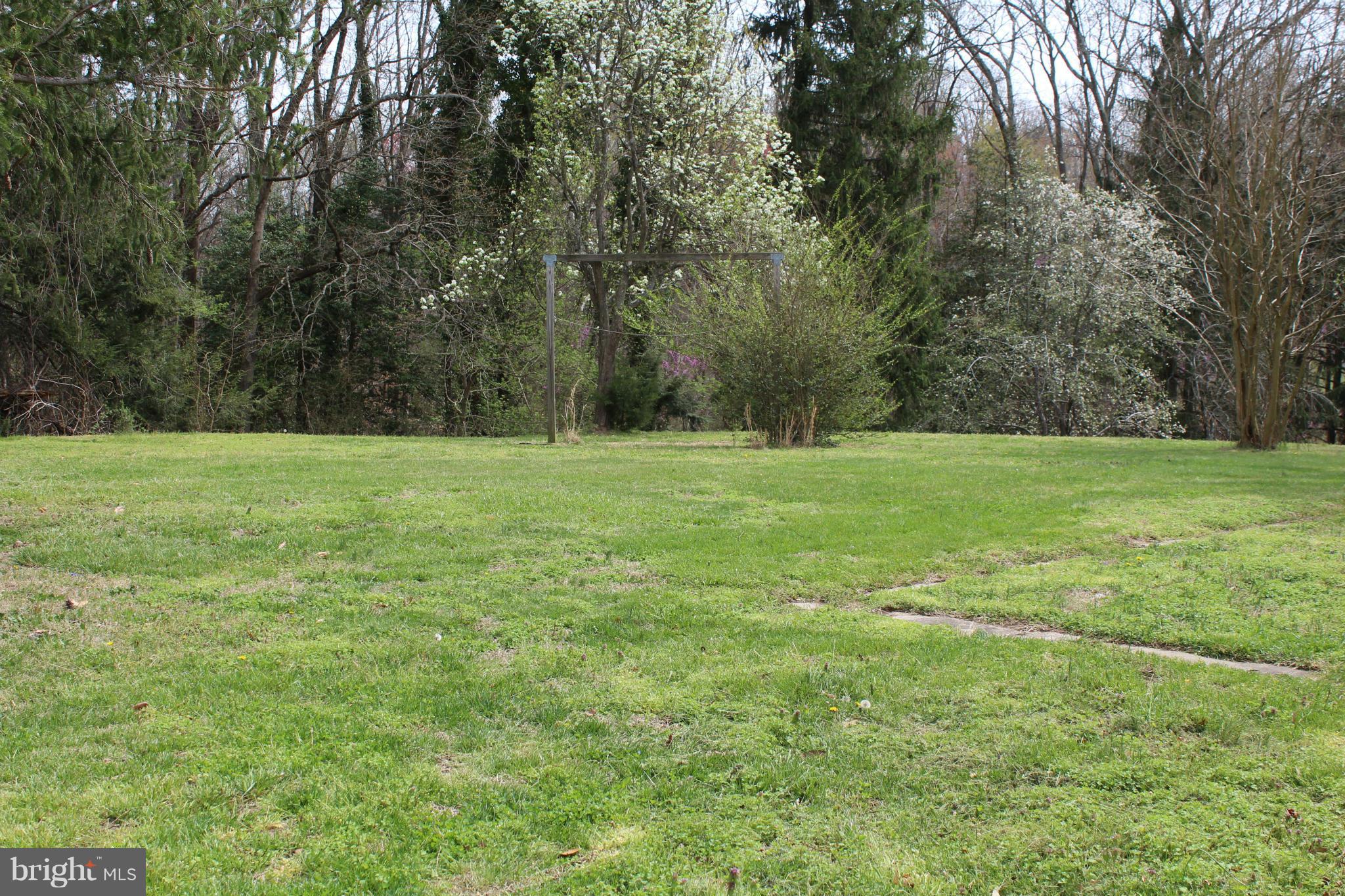 10359 Millbank Road King George, VA 22485 - Photo 25 of 29 Level Back Yard