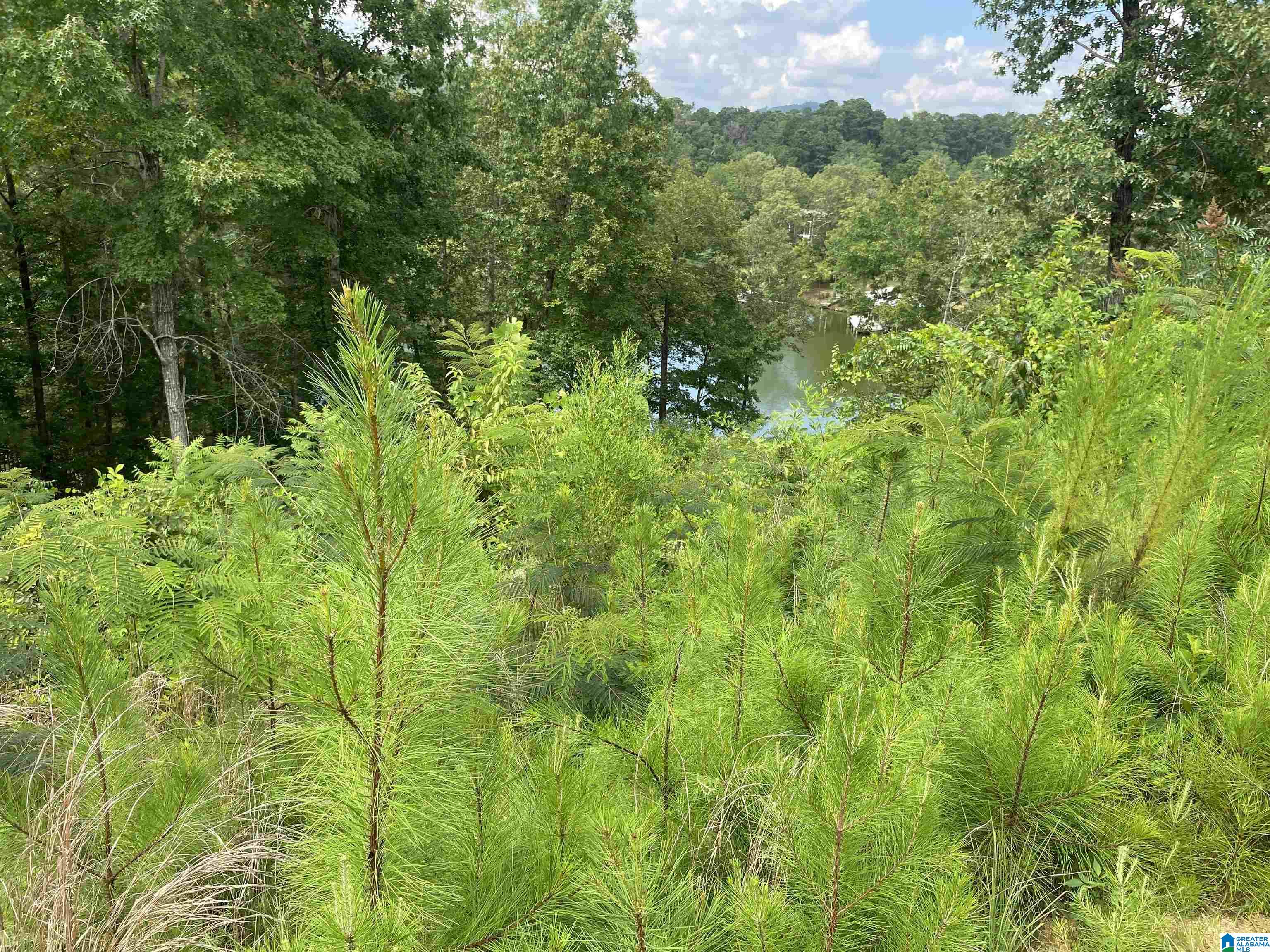 707 Sagebrush Road, Unit 12 Ashville, AL 35953 - Photo 6 of 8
