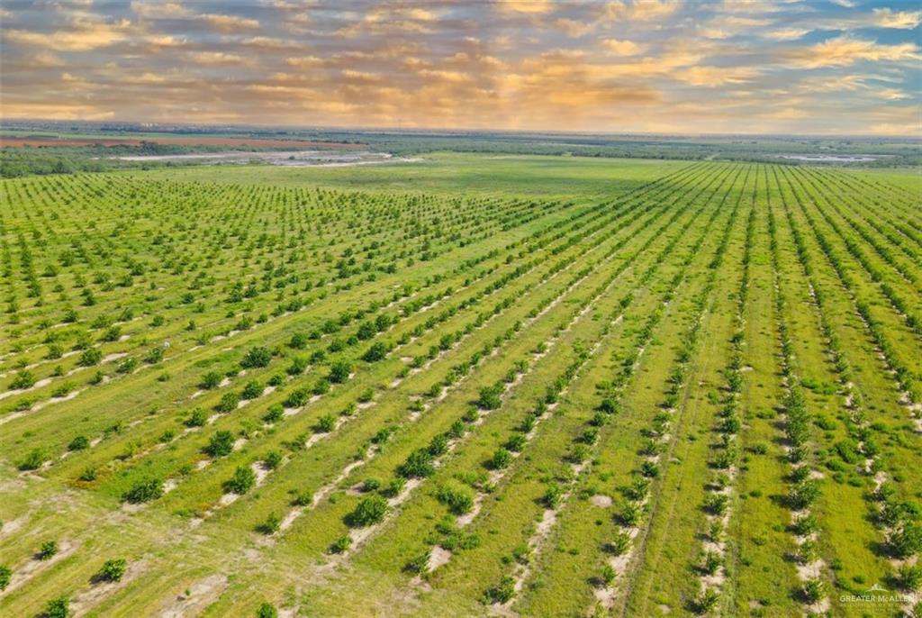 Tbd Tbd Davila Road Edinburg, TX 78542 - Photo 2 of 2 a view of an ocean