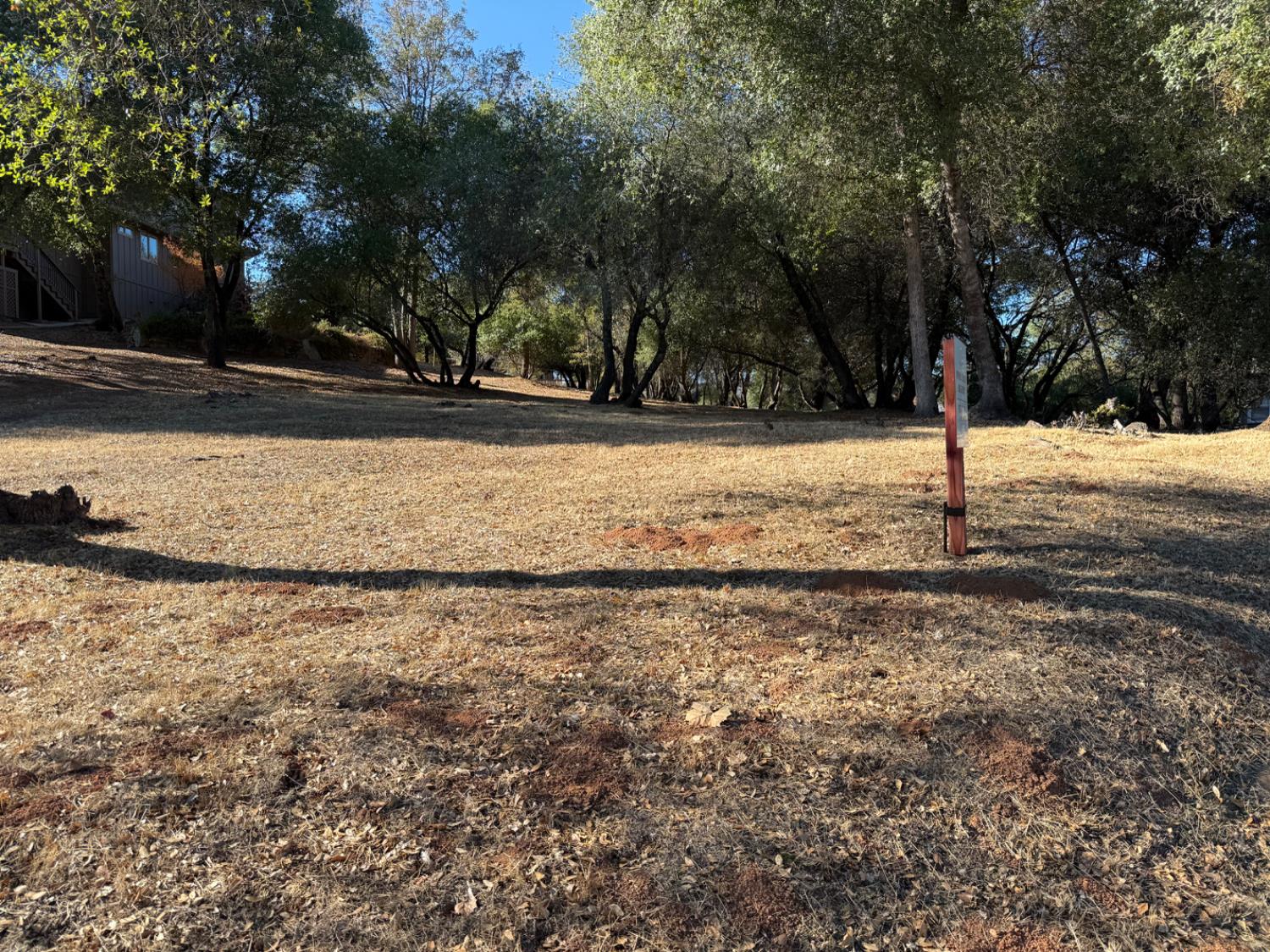 0 300 Smith Flat Road Angels Camp, CA 95222 - Photo 2 of 2 a view of road and trees