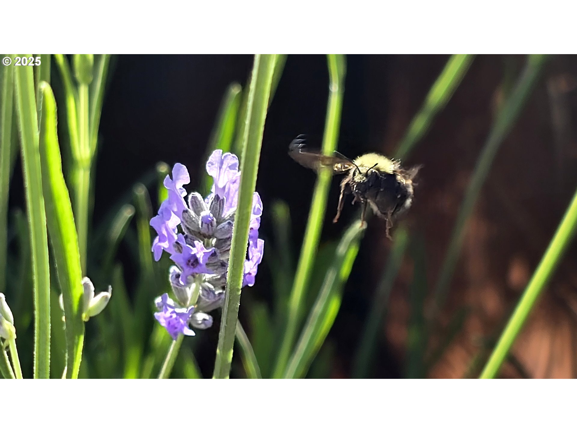 97972 Hallway Road, Unit 23 Brookings, OR 97415 - Photo 19 of 38