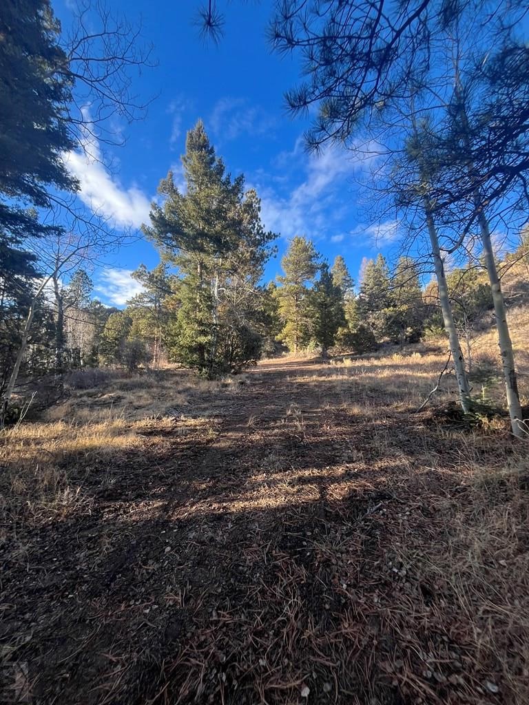 Tbd Forbes Road San Luis, CO 81152 - Photo 12 of 13 Gallery Image 12
