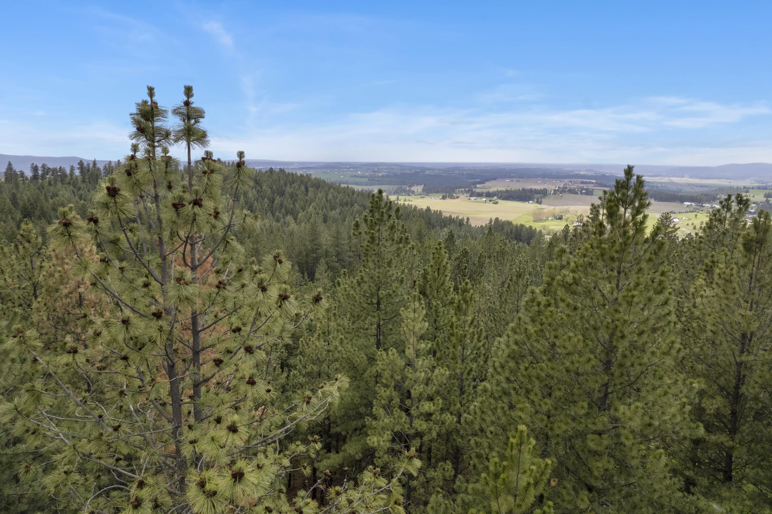 17534 East Offmy Lane Spokane, WA 99217 - Photo 11 of 23