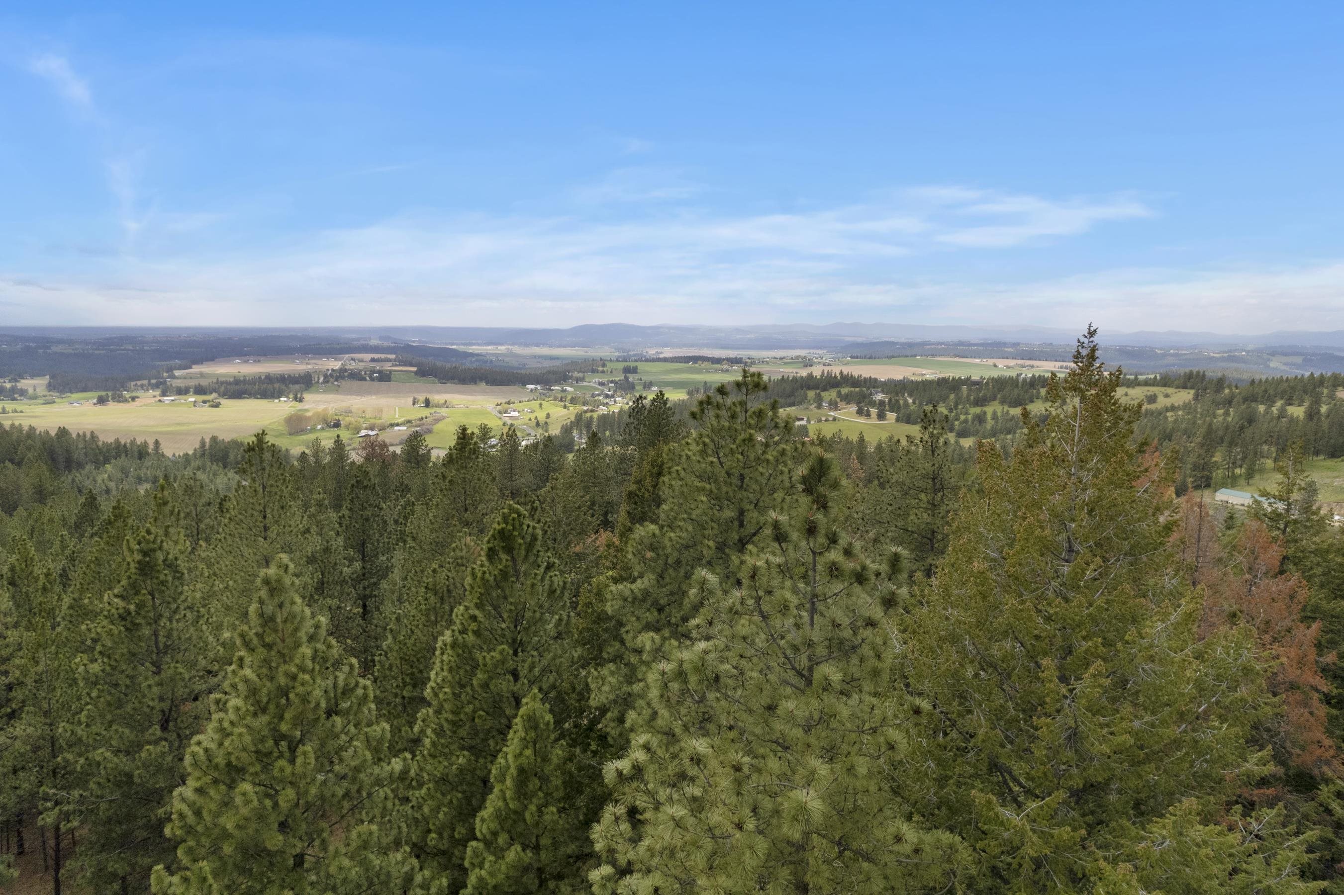 17534 East Offmy Lane Spokane, WA 99217 - Photo 12 of 23