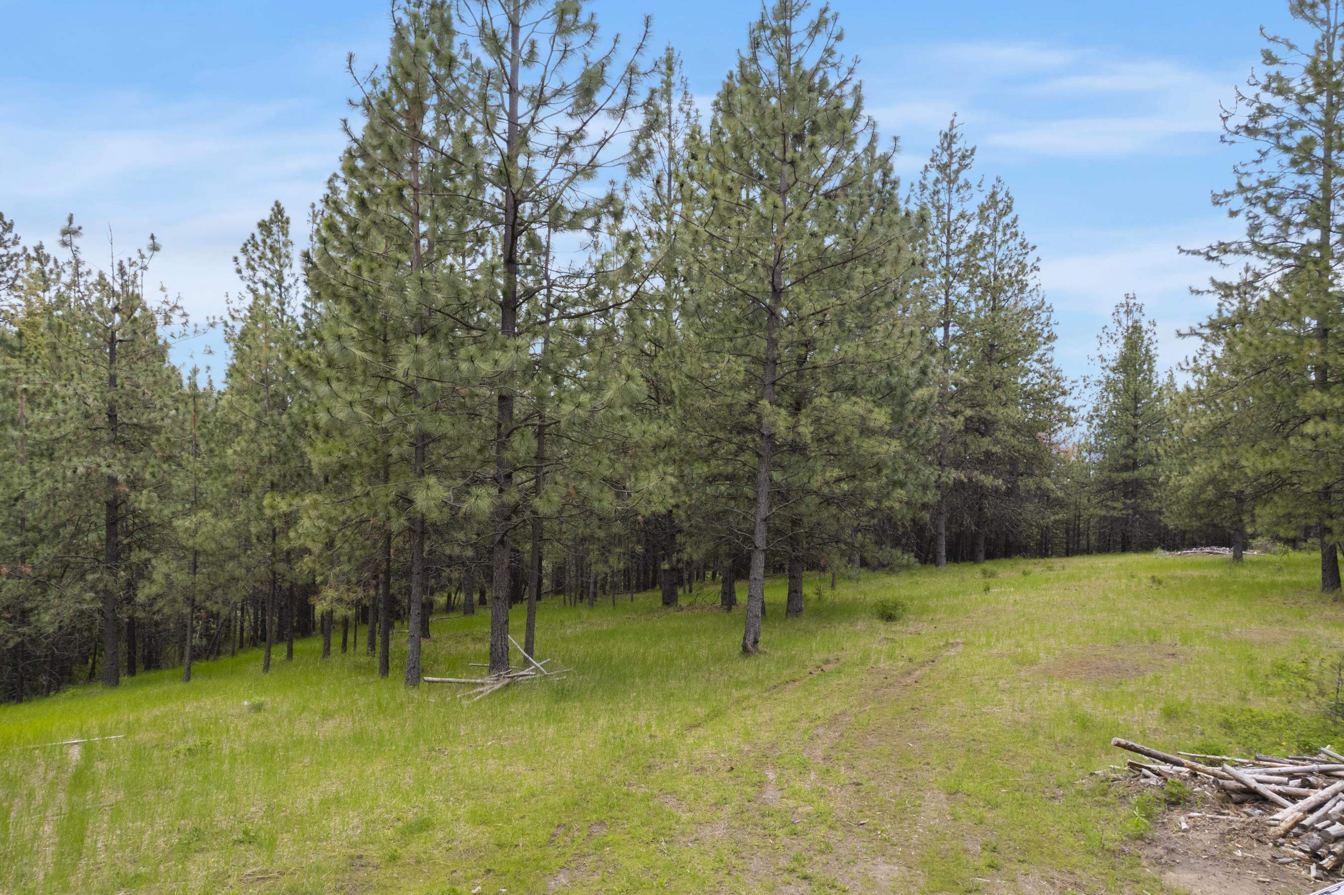 17534 East Offmy Lane Spokane, WA 99217 - Photo 3 of 23