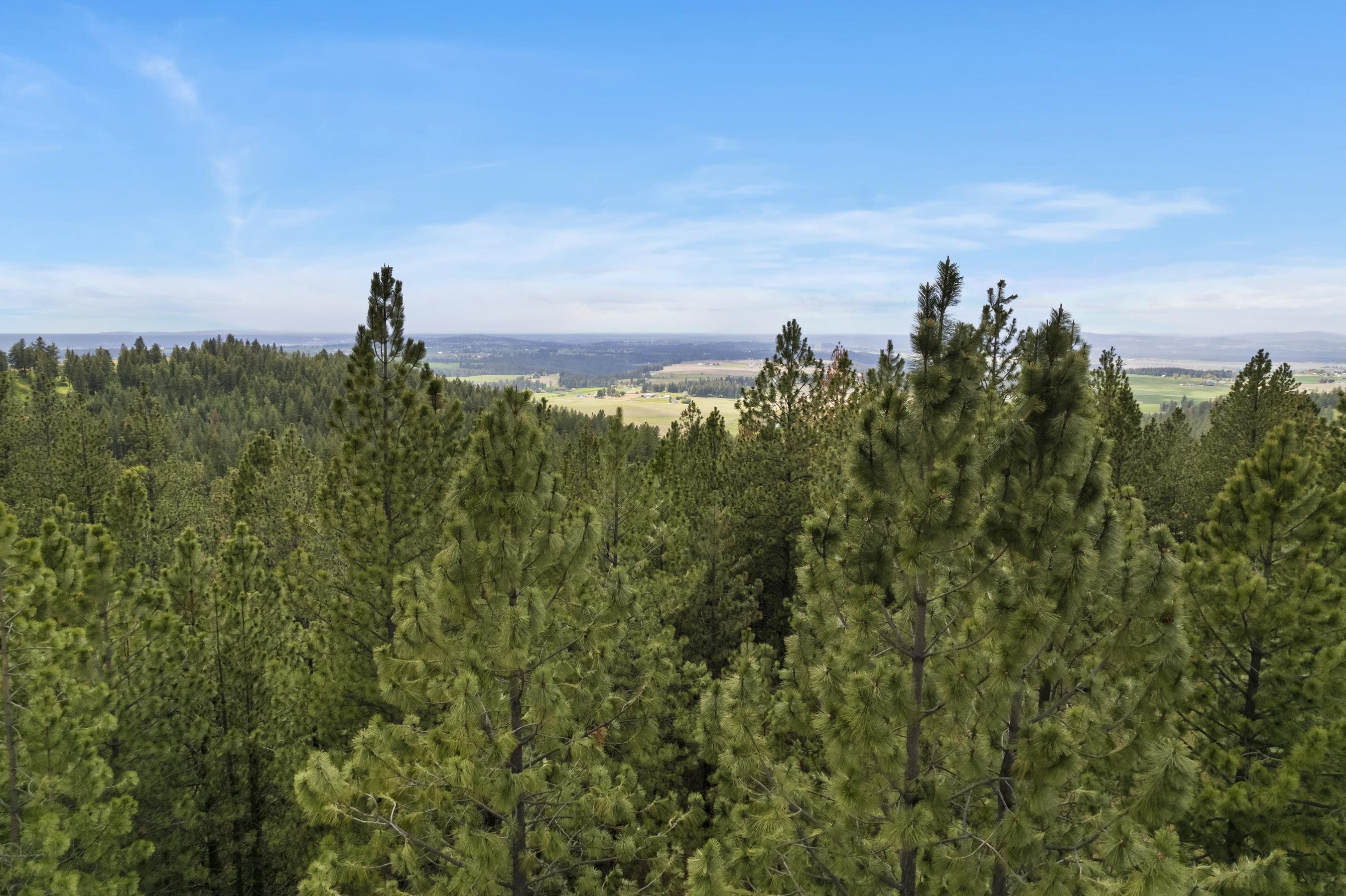 17534 East Offmy Lane Spokane, WA 99217 - Photo 4 of 23