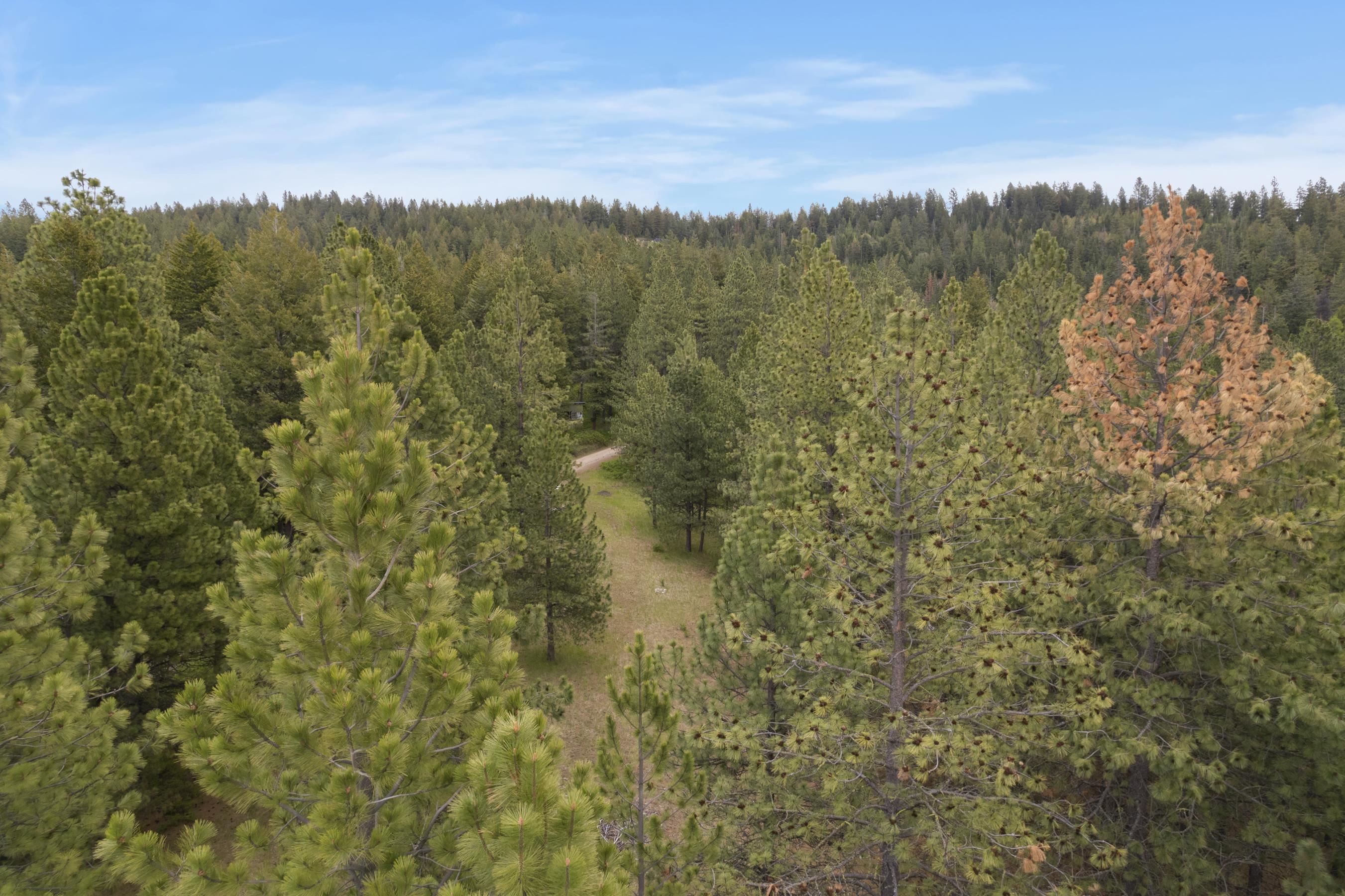 17534 East Offmy Lane Spokane, WA 99217 - Photo 7 of 23