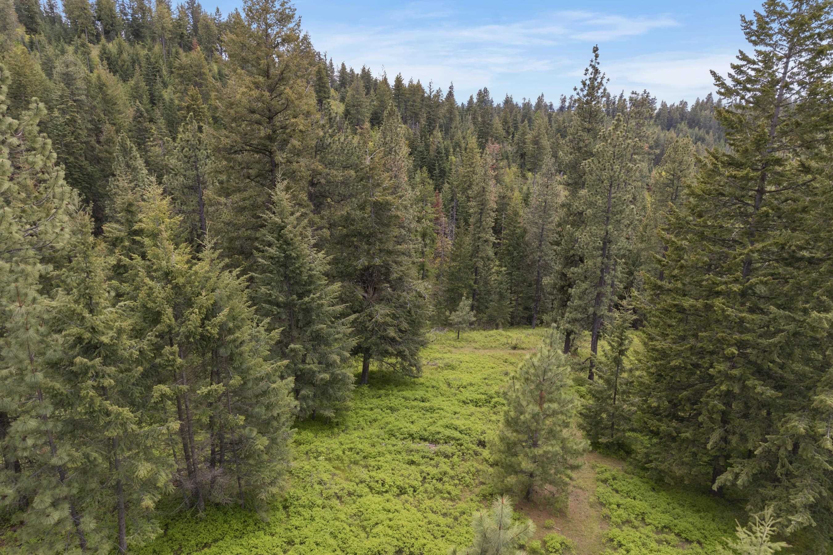 17534 East Offmy Lane Spokane, WA 99217 - Photo 8 of 23