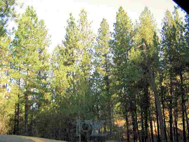 7520 South Hangman Valley Road Spokane, WA 99224 - Photo 9 of 9 Gallery Image 9