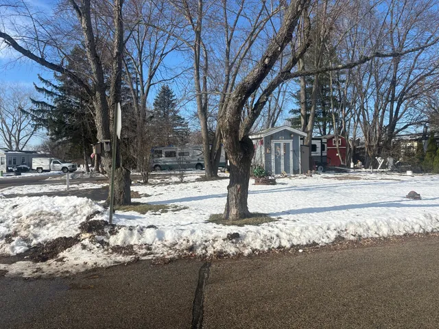 a tree in the middle of a yard