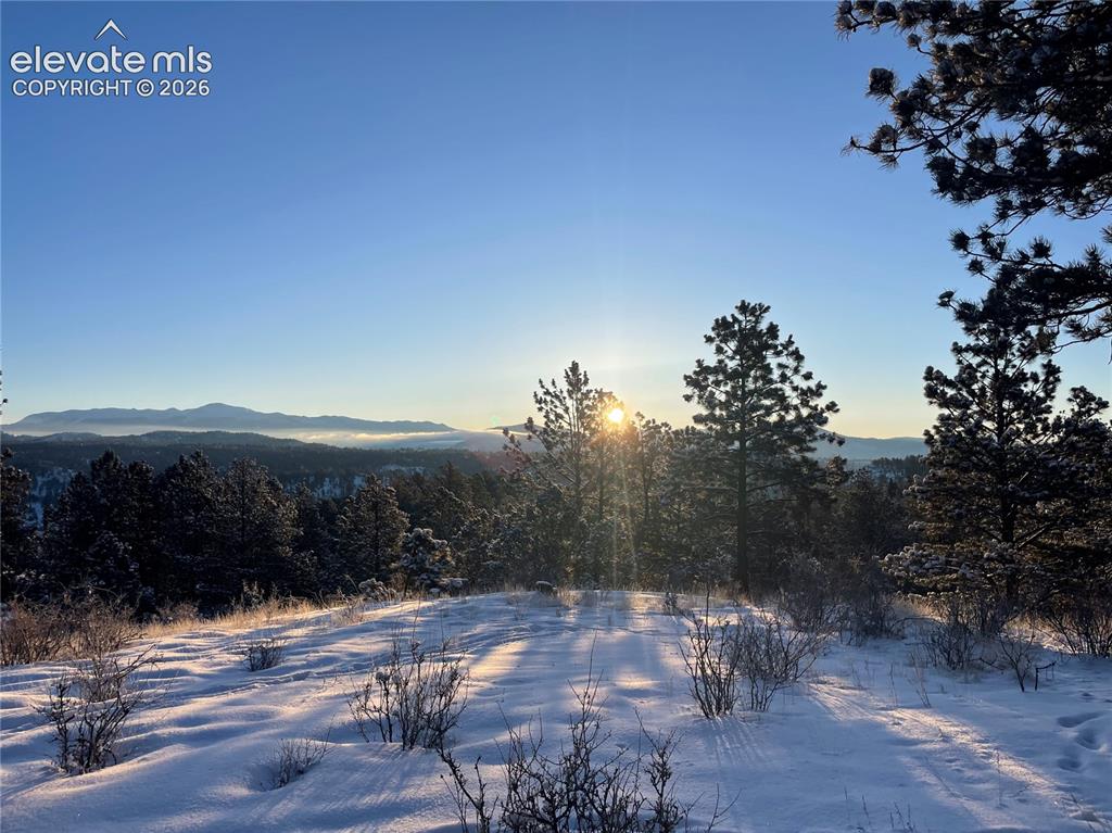 0 Twinkle Road Guffey, CO 80820 - Photo 10 of 20