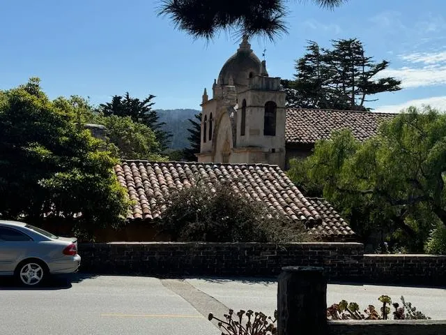 a view of a street with potted plants