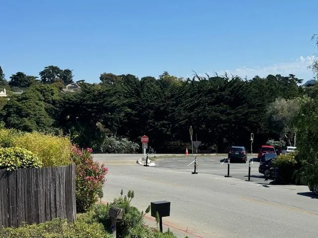 a view of a bench with wooden floor