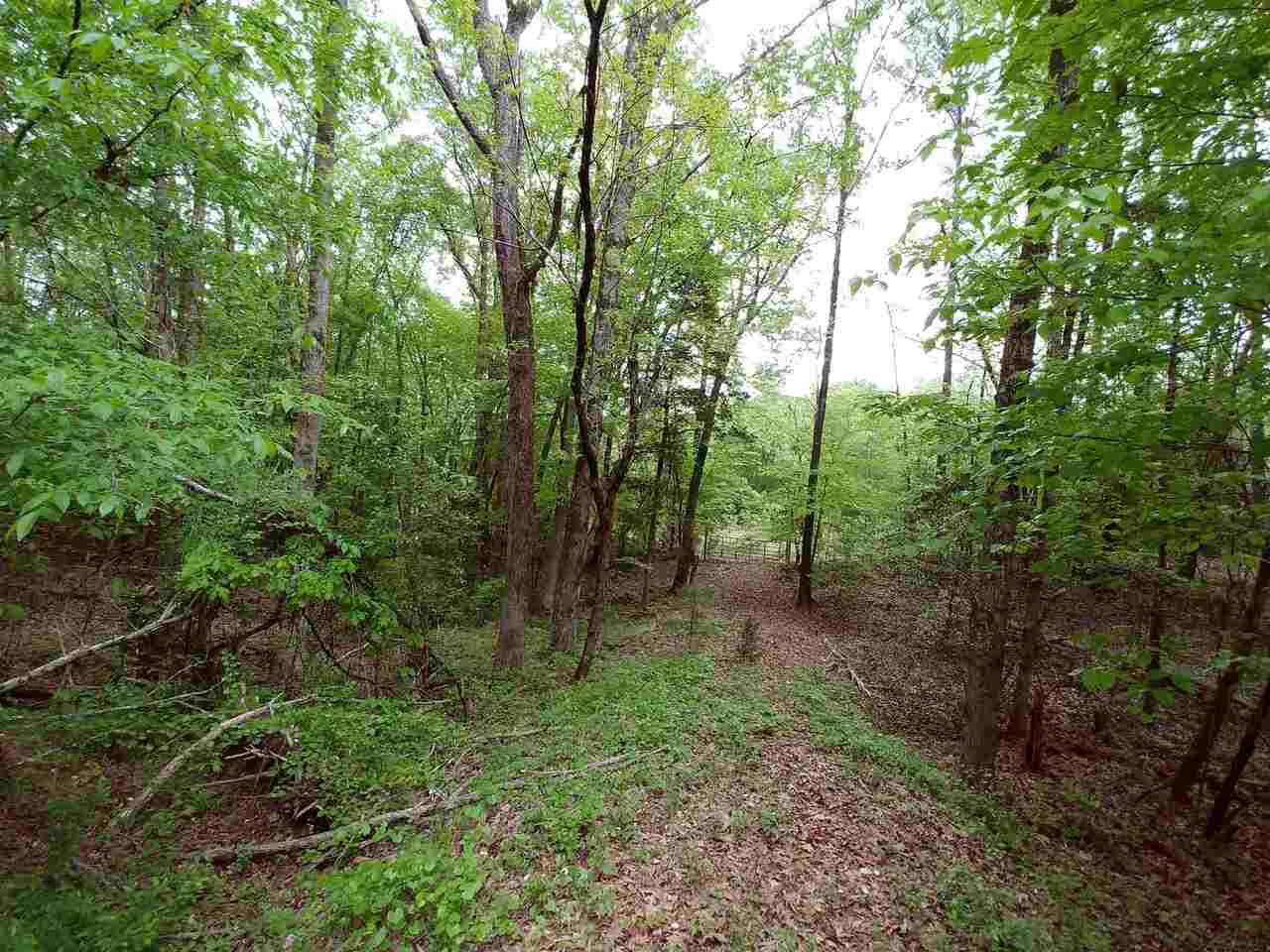 0 Ruckersville Road, Unit LOT 10 Elberton, GA 30635 - Photo 1 of 1