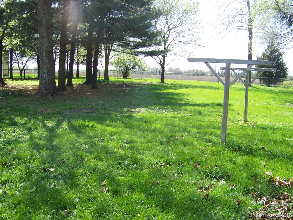 10137 North Pawnee Road Pawnee, IL 62558 - Photo 21 of 30