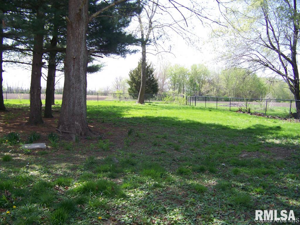 10137 North Pawnee Road Pawnee, IL 62558 - Photo 22 of 30