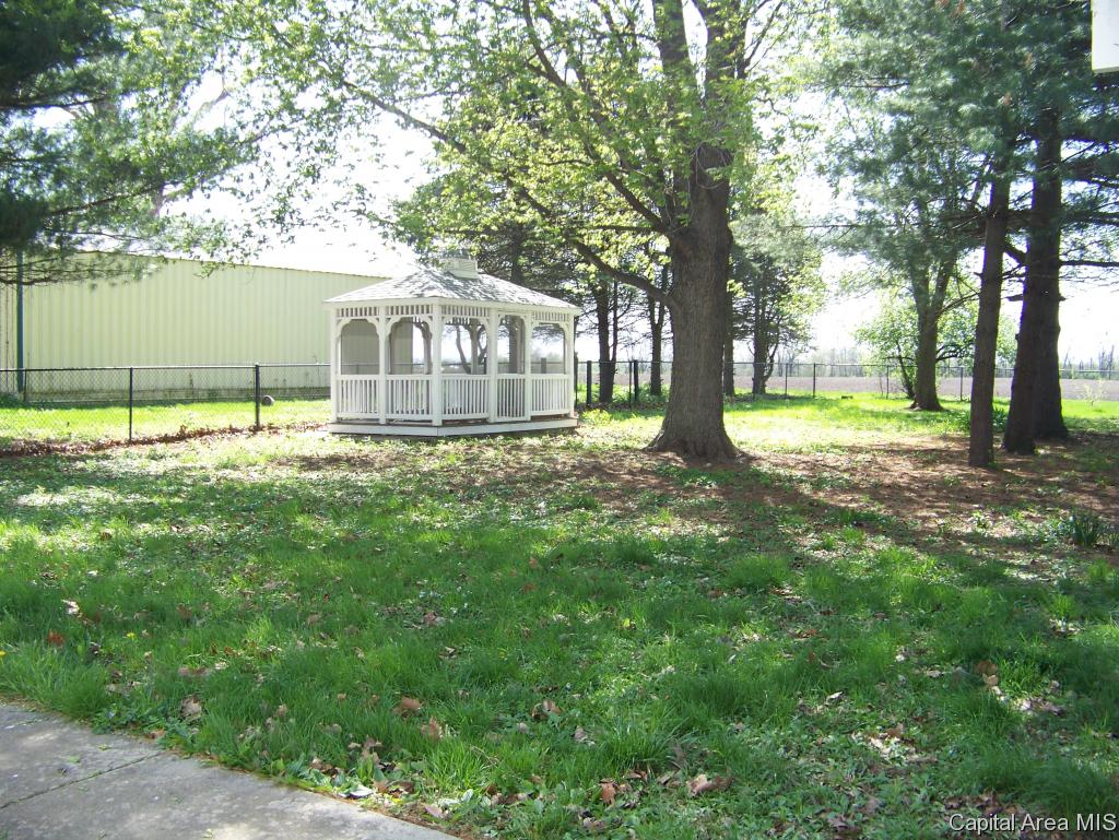 10137 North Pawnee Road Pawnee, IL 62558 - Photo 23 of 30
