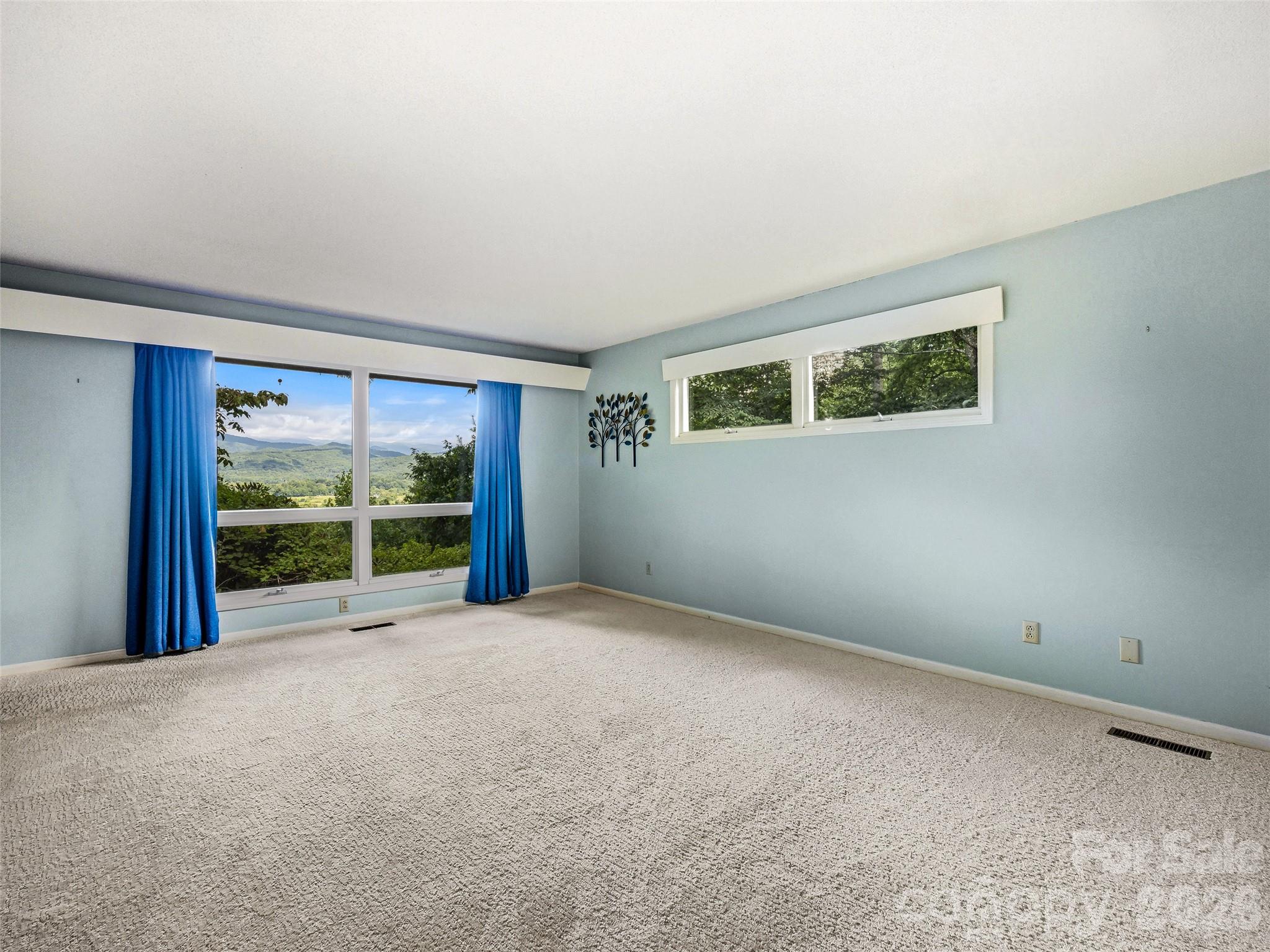 252 Middle Mt Road Pisgah Forest, NC 28768 - Photo 25 of 48 Gallery Image 25