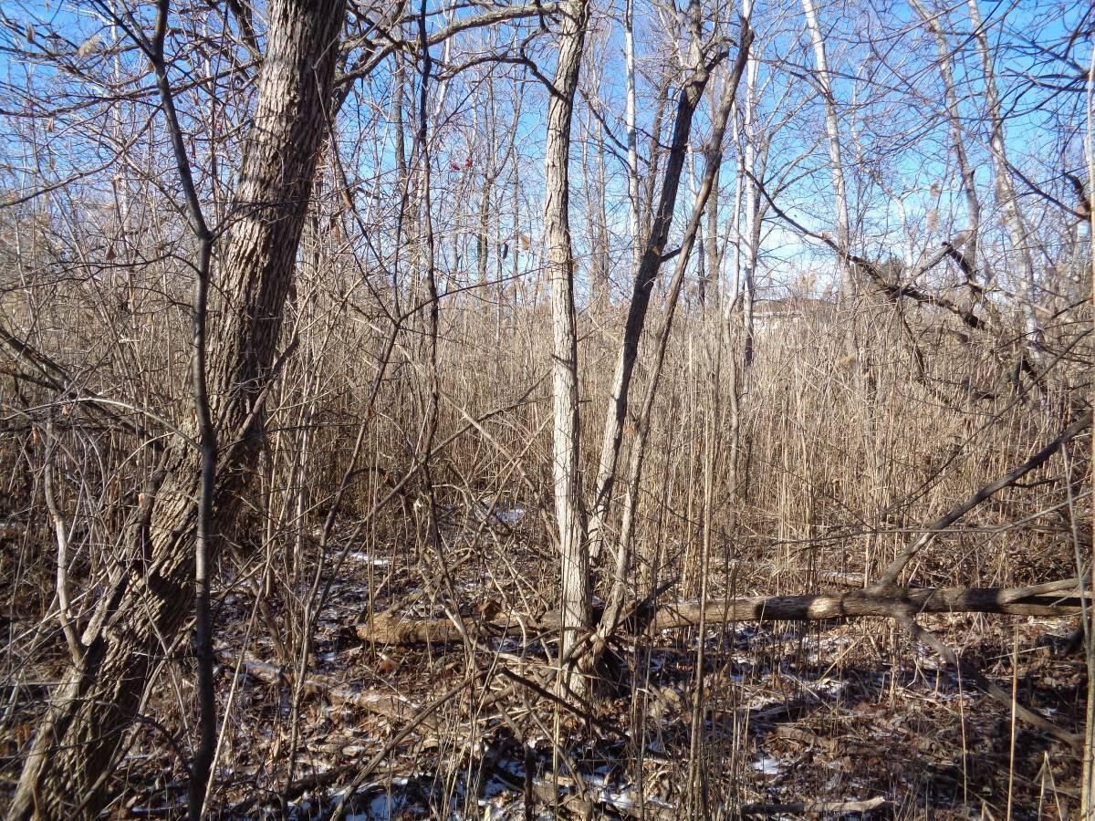 Lt249-264 Hyacinth Road, Unit LT271286 Bloomfield, WI 53157 - Photo 2 of 6 No. 2 Pell Lake Woods