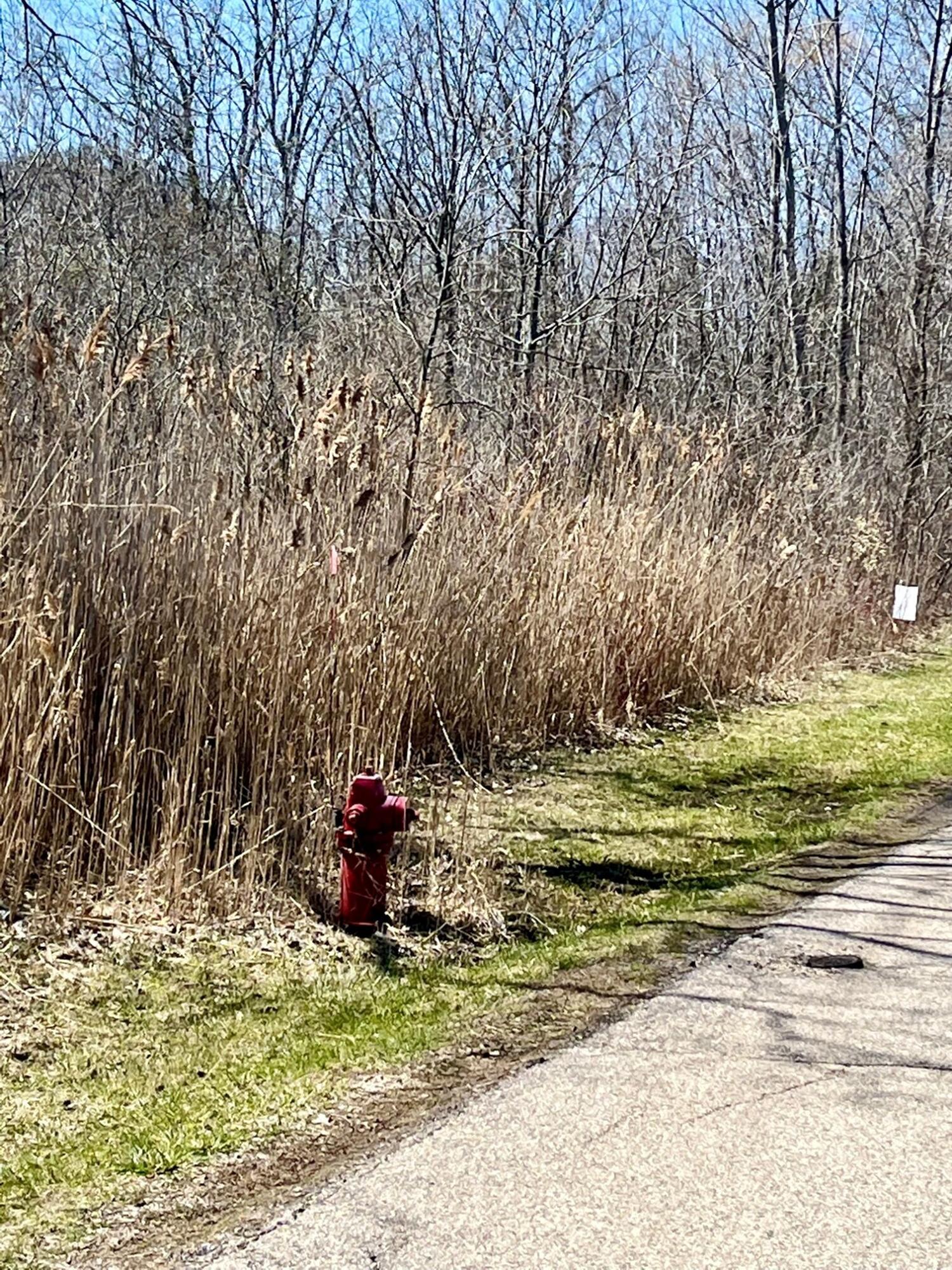 Lt249-264 Hyacinth Road, Unit LT271286 Bloomfield, WI 53157 - Photo 6 of 6 Fire Hydrant