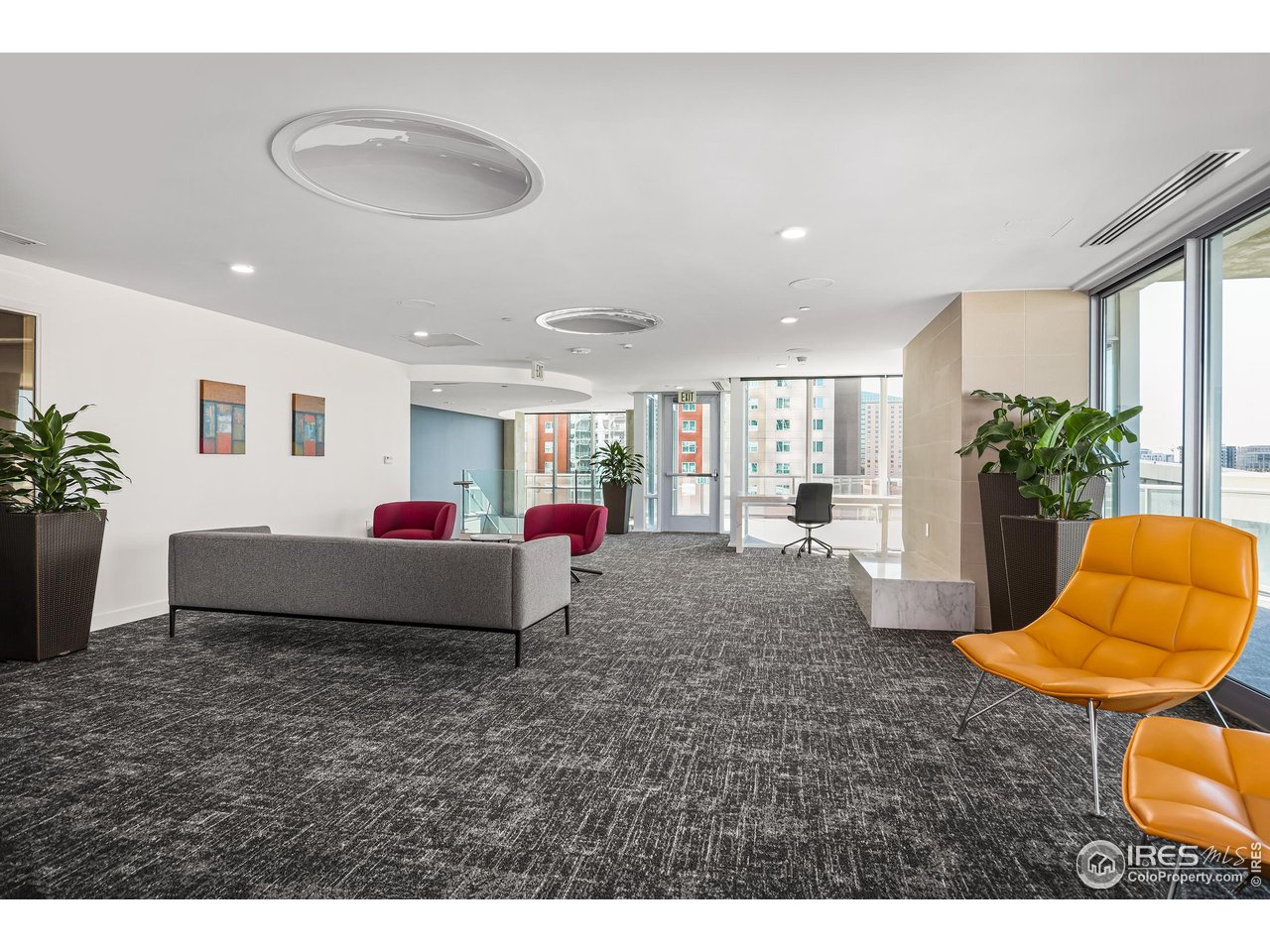 891 14th Street, Unit 1111 Denver, CO 80202 - Photo 29 of 38 a living room with furniture floor and a potted plant