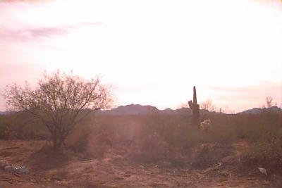 17940 West Avra Valley Road Marana, AZ 85653 - Photo 2 of 3