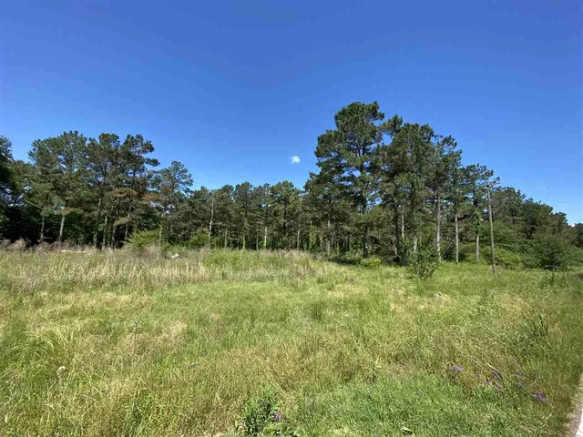 $115,000 | 2200 Highway 541, Mendenhall, MS 39114