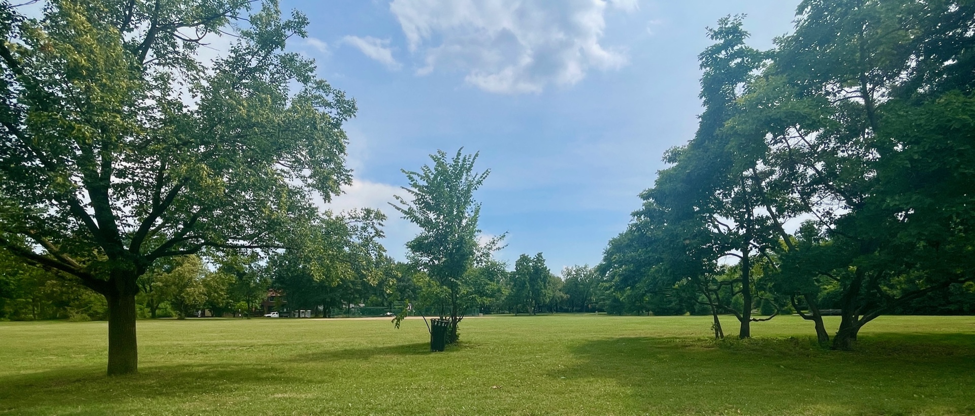 402 Longcommon Road Riverside, IL 60546 - Photo 45 of 48 a view of a park with large trees