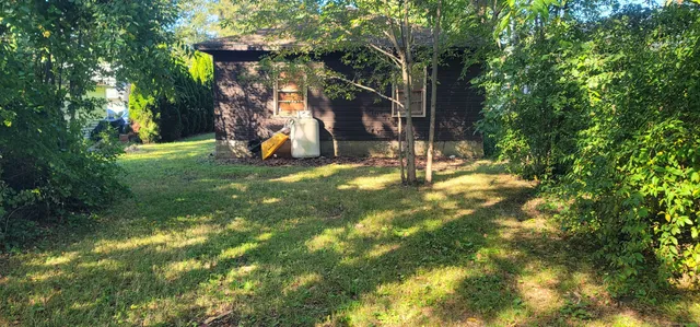 a view of a tree in a yard