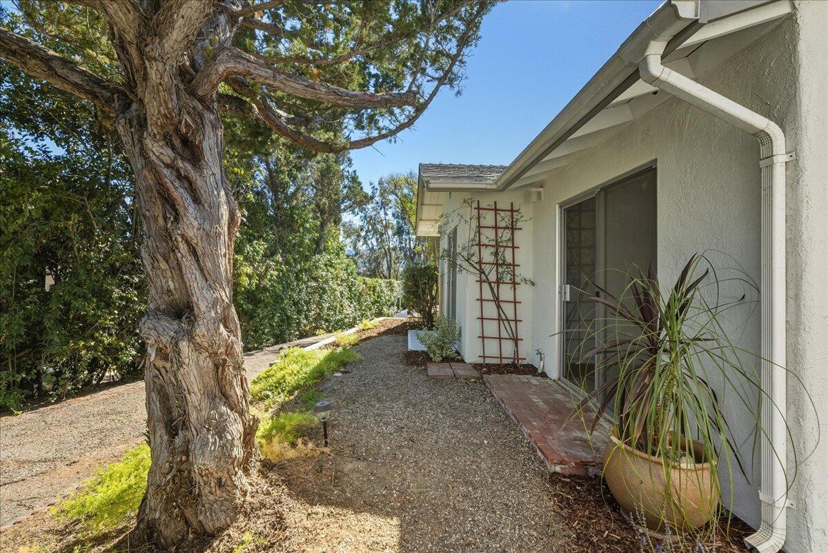 674 Chalk Hill Road Solvang, CA 93463 - Photo 41 of 52 a view of a house with a tree