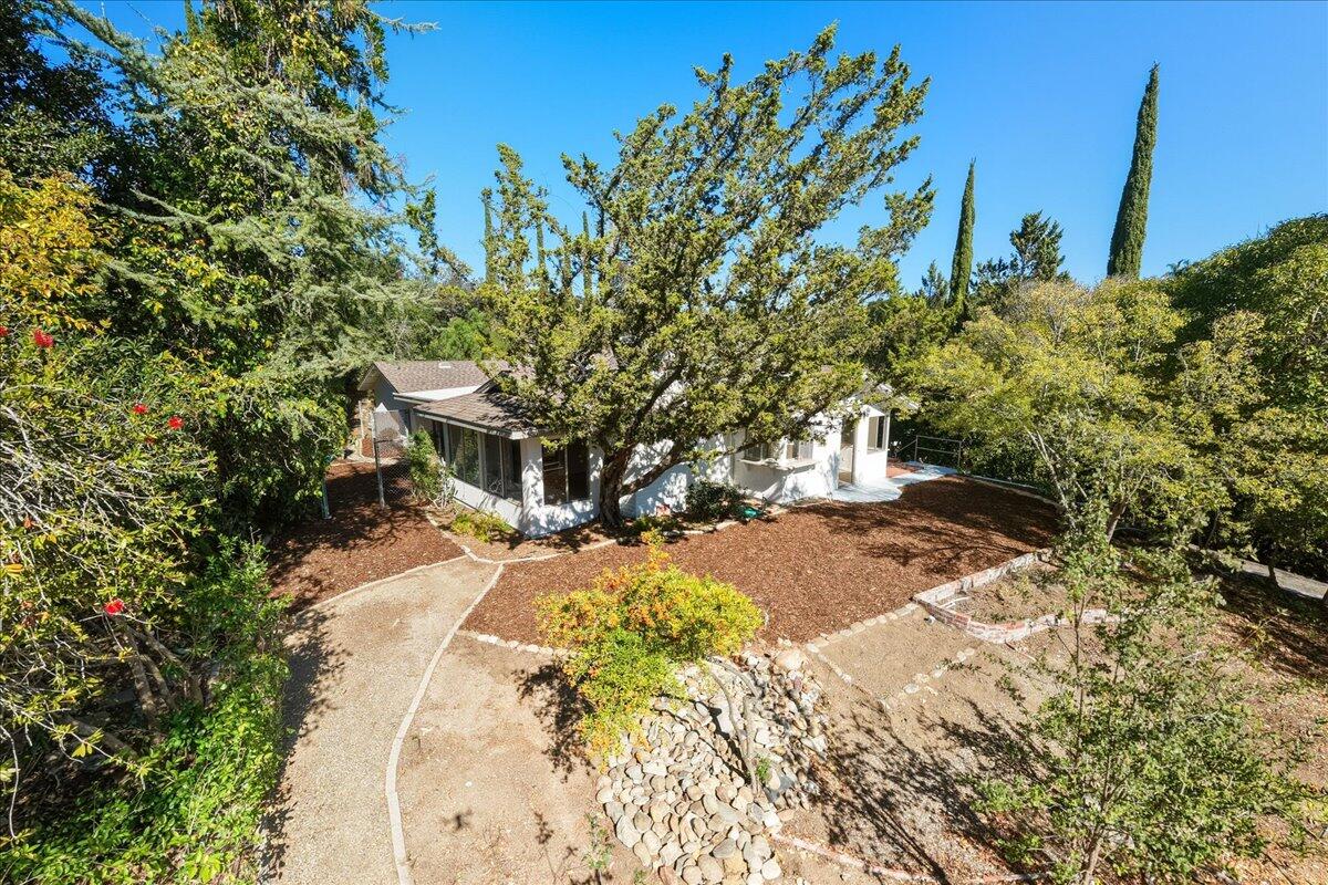 674 Chalk Hill Road Solvang, CA 93463 - Photo 47 of 52 a view of a yard with plants and trees