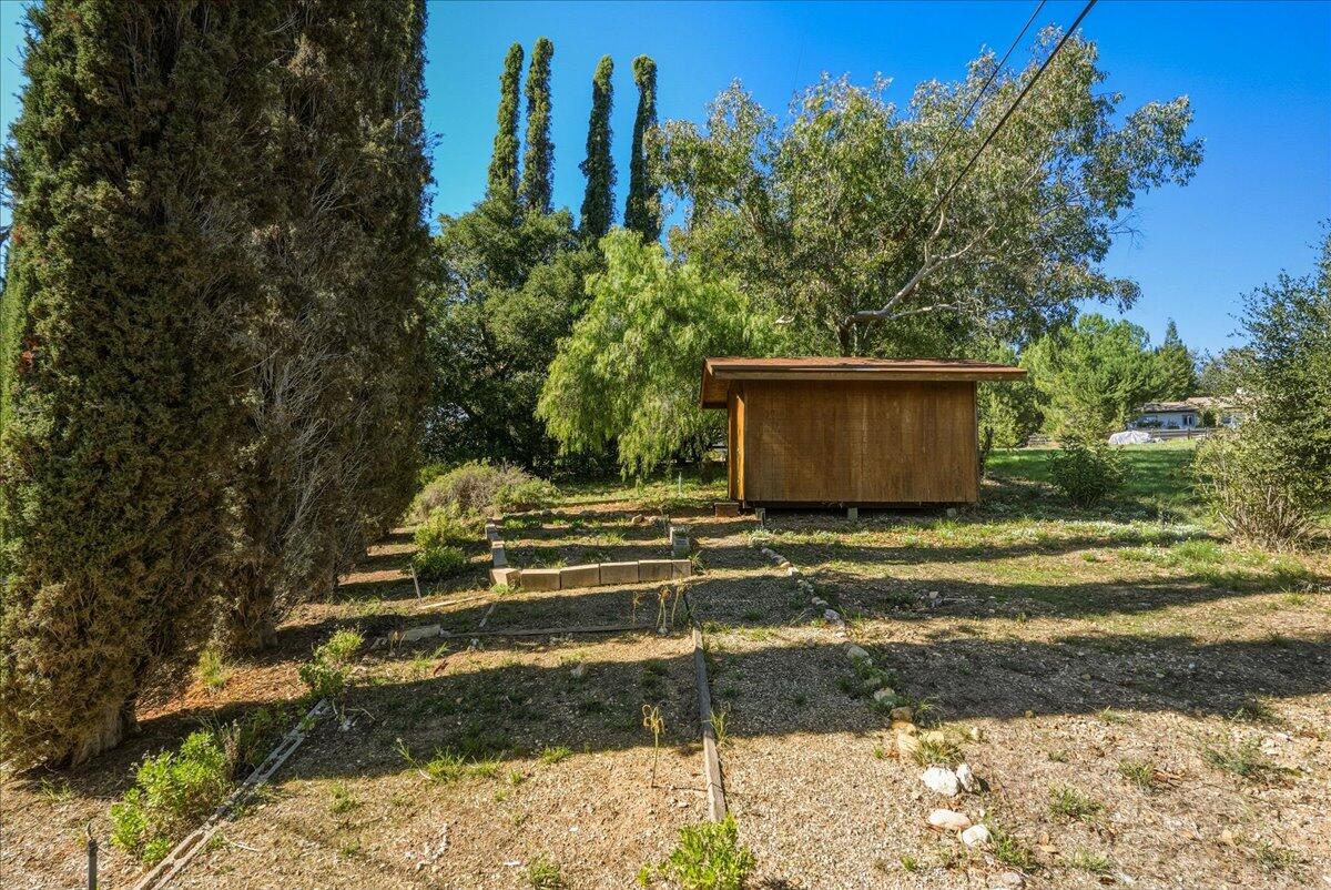 674 Chalk Hill Road Solvang, CA 93463 - Photo 50 of 52 a view of a backyard with trees