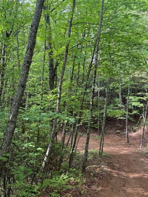 0 Tyler Lane Marble, NC 28905 - Photo 10 of 31